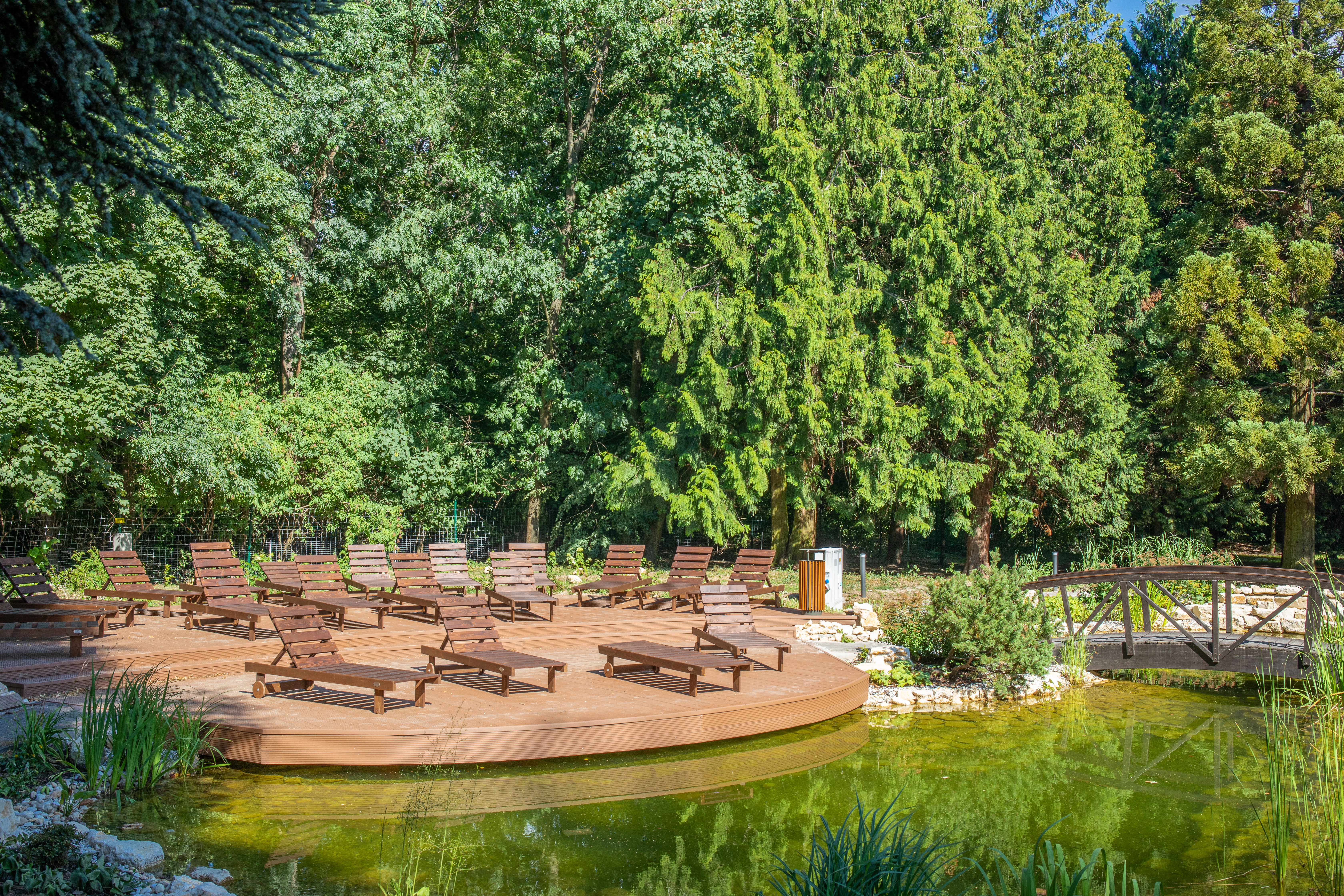 Fagus Hotel Sopron Conference & Spa
