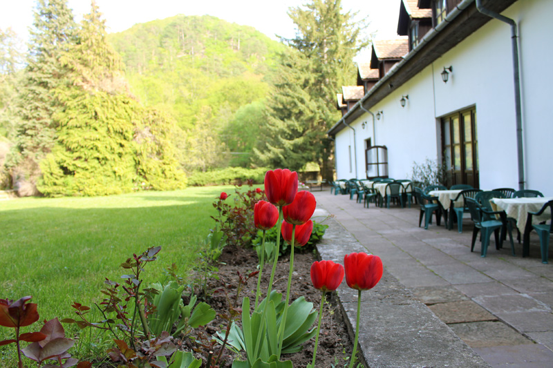 Királyrét Hotel