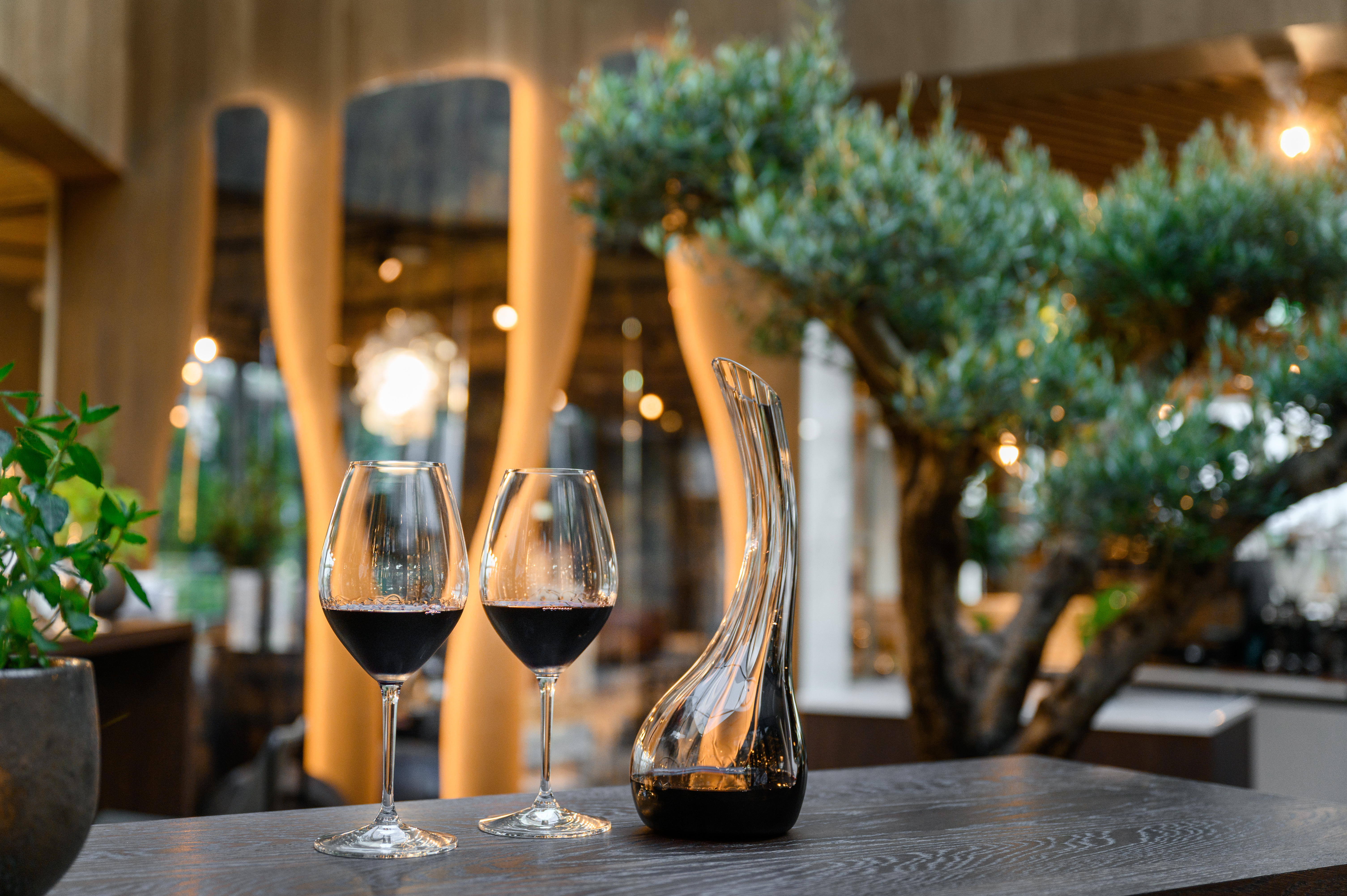 Hotel Vinifera Wine & Spa