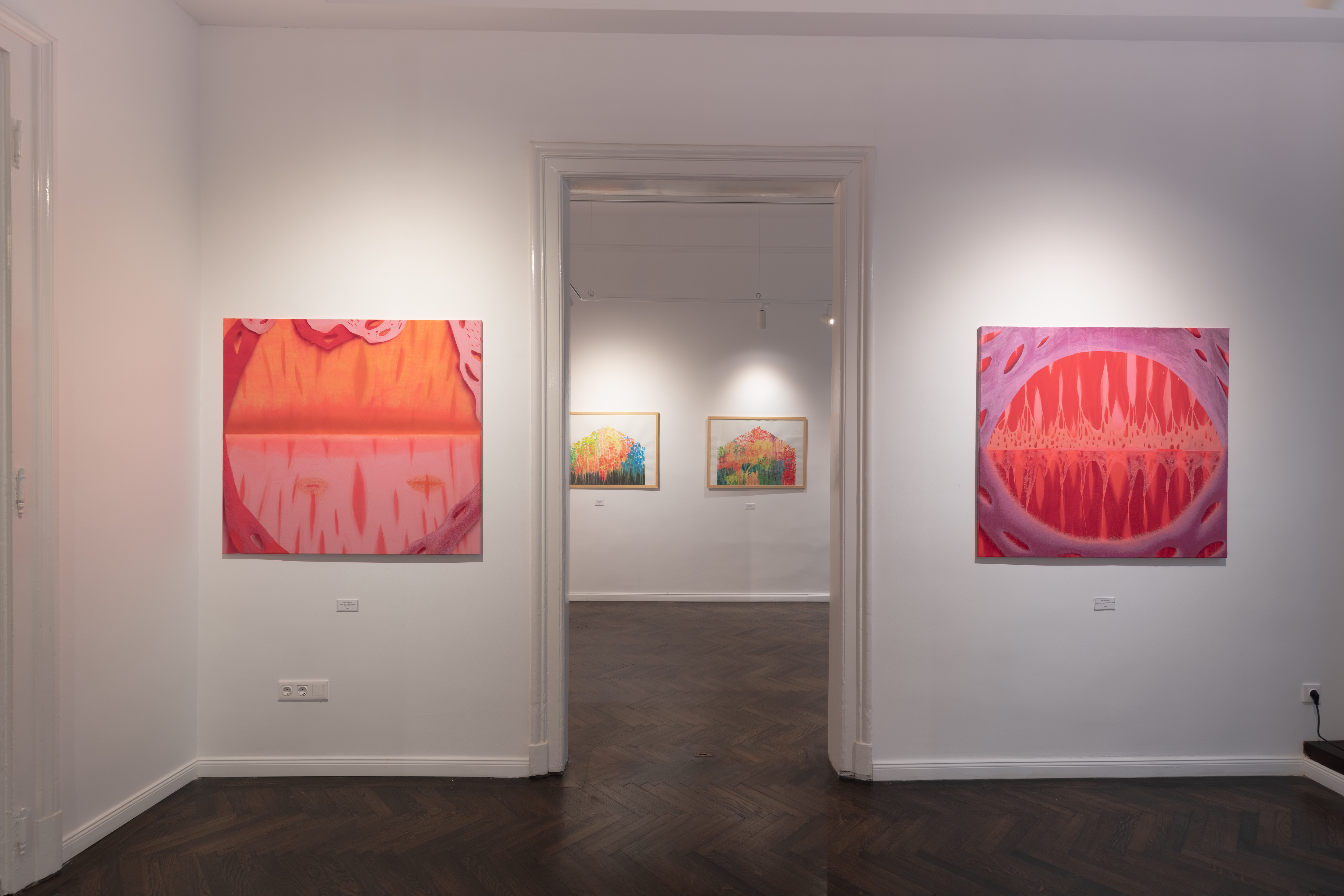 Tokaj Art Wine Galéria