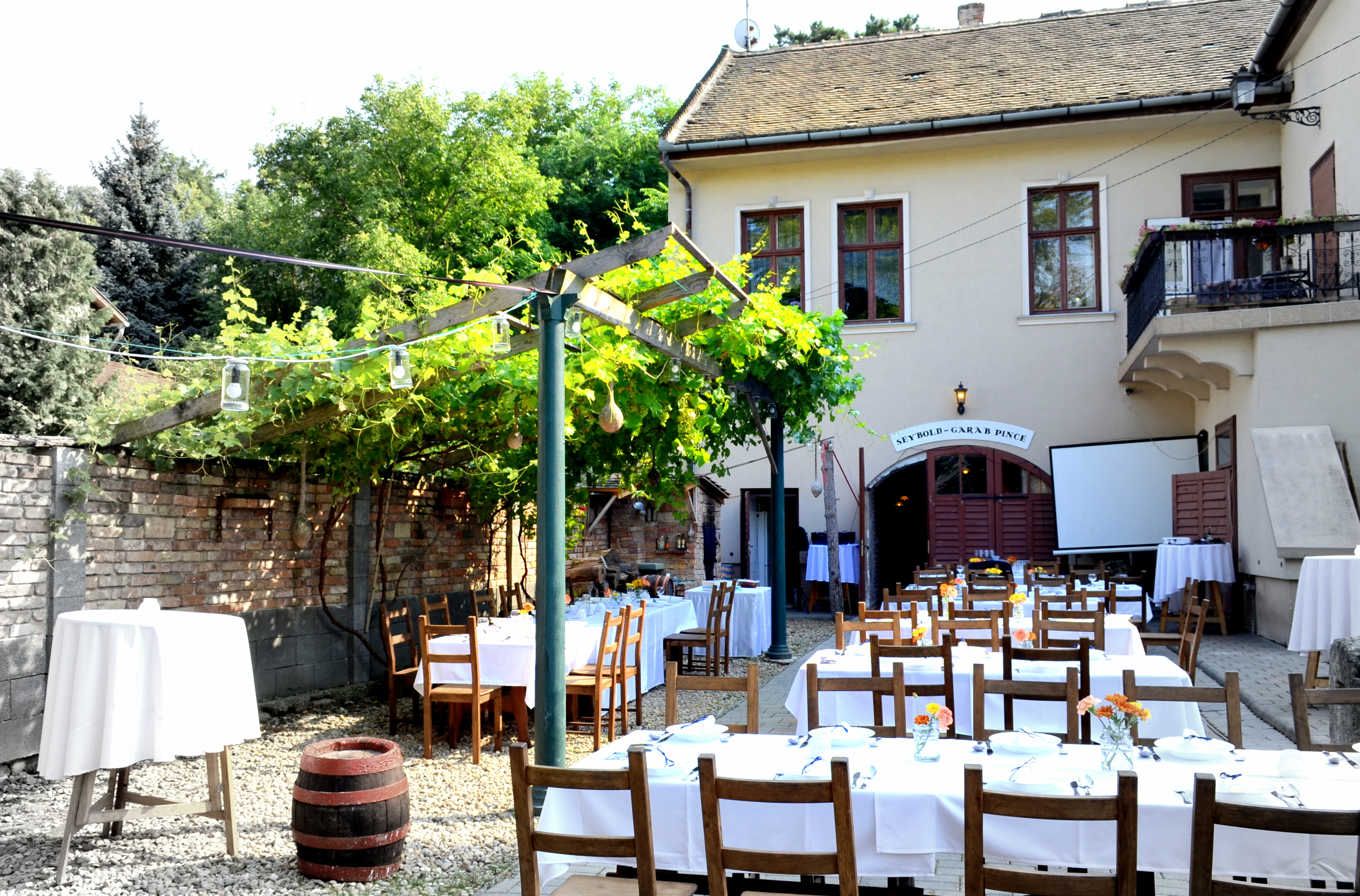 Seybold-Garab Pince