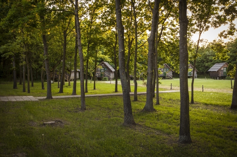 Achilles Park
