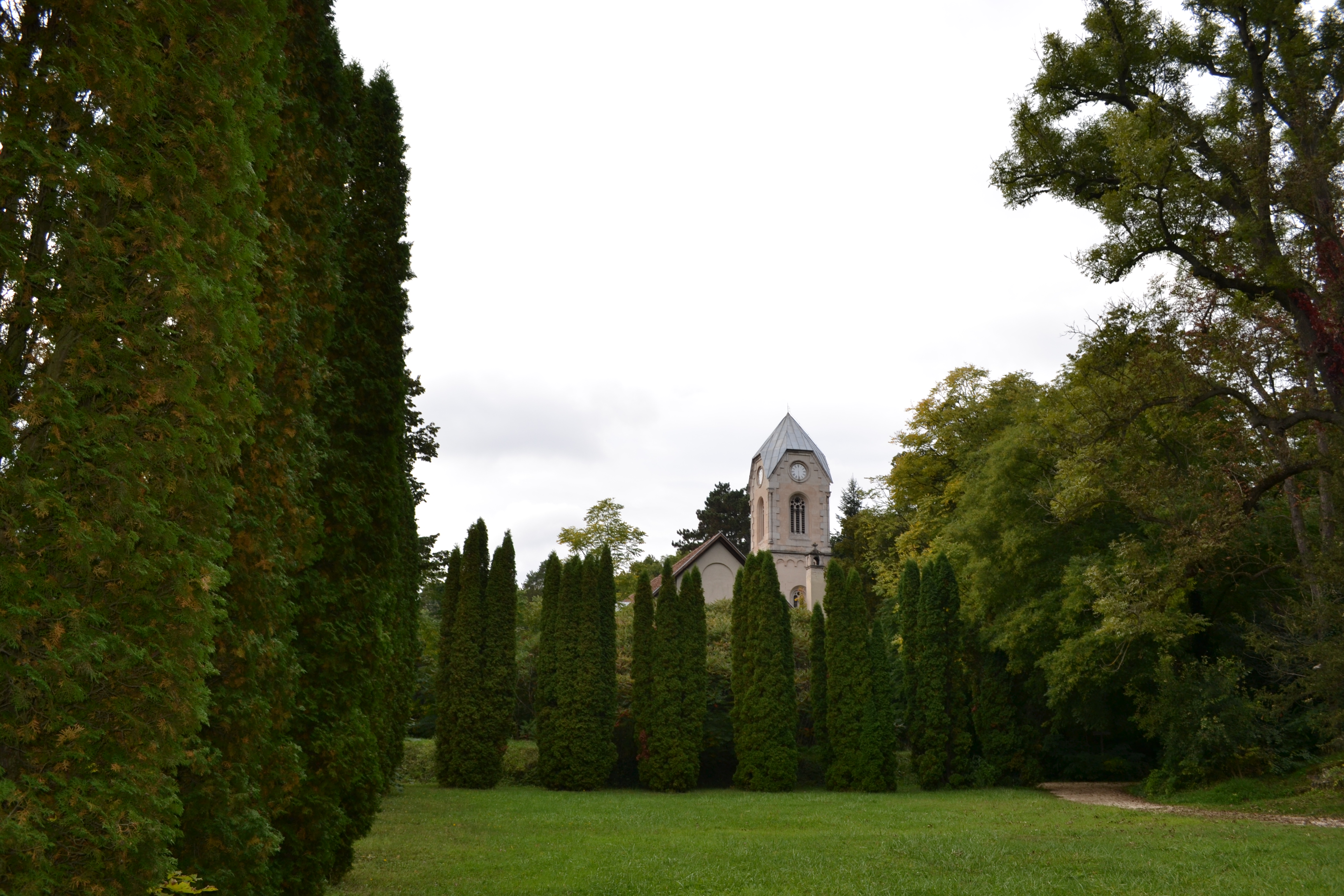 Alcsúti Arborétum