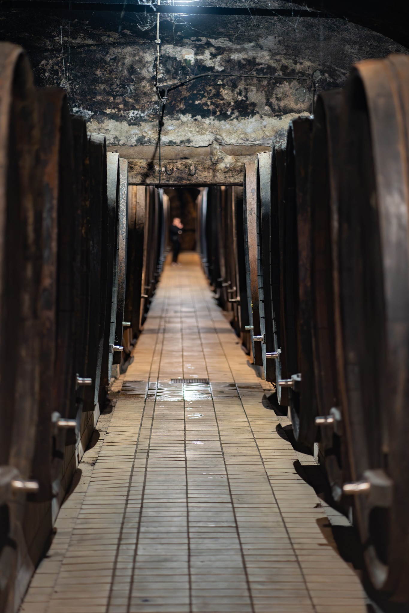Vinag 1847 Wine Cellar