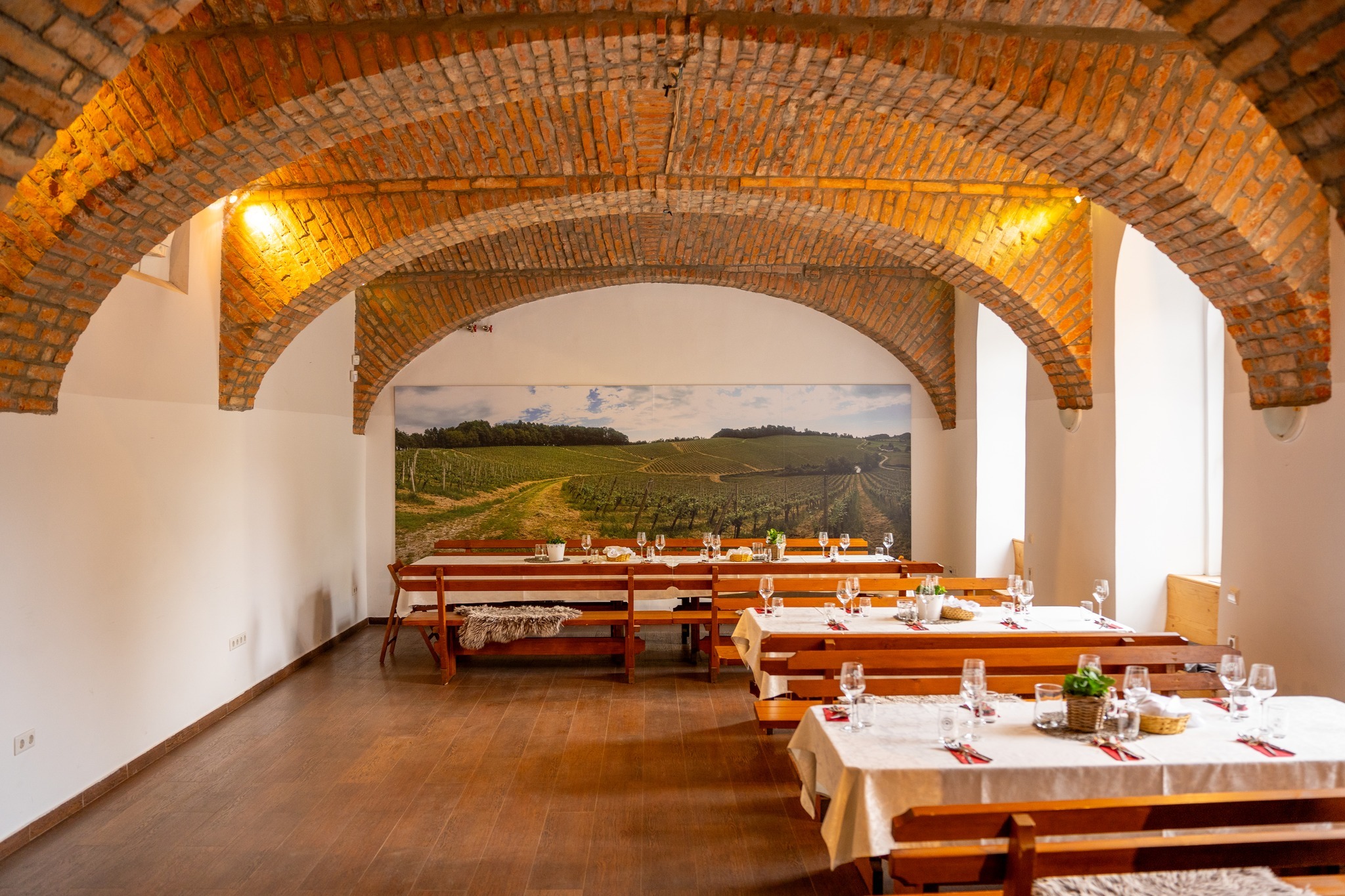 Vinag 1847 Wine Cellar