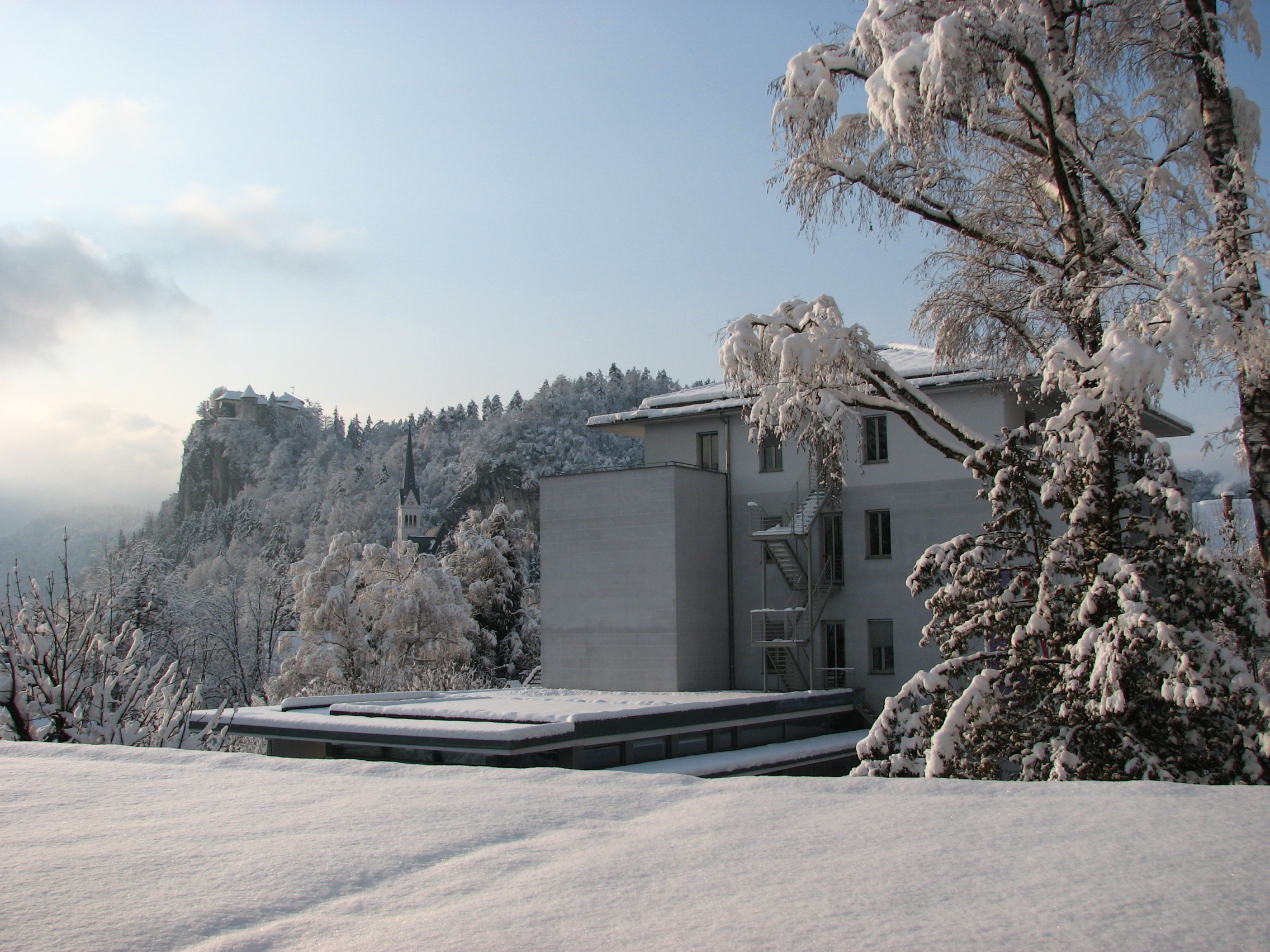 IEDC Bled - School of Management