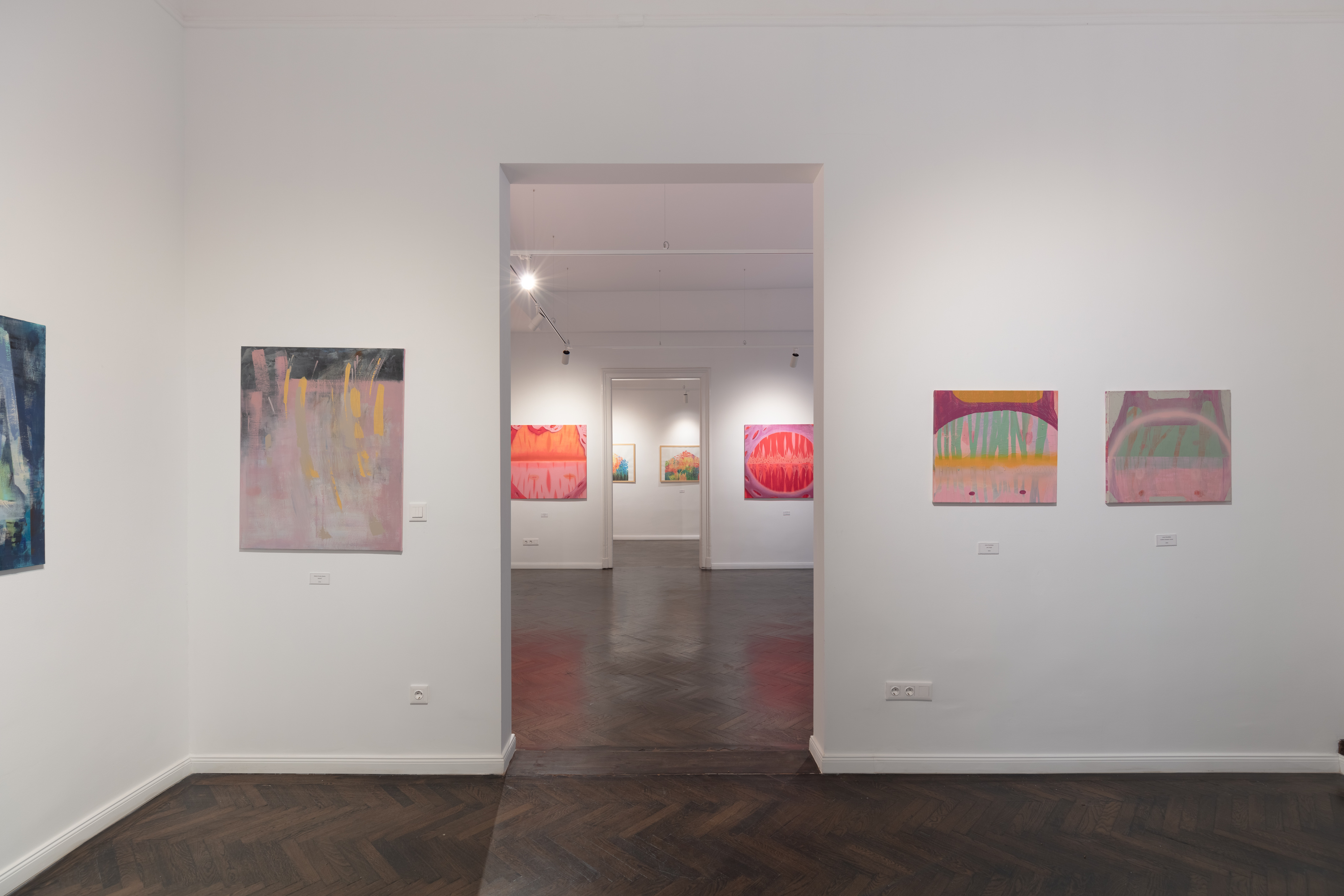 Tokaj Art Wine Galéria