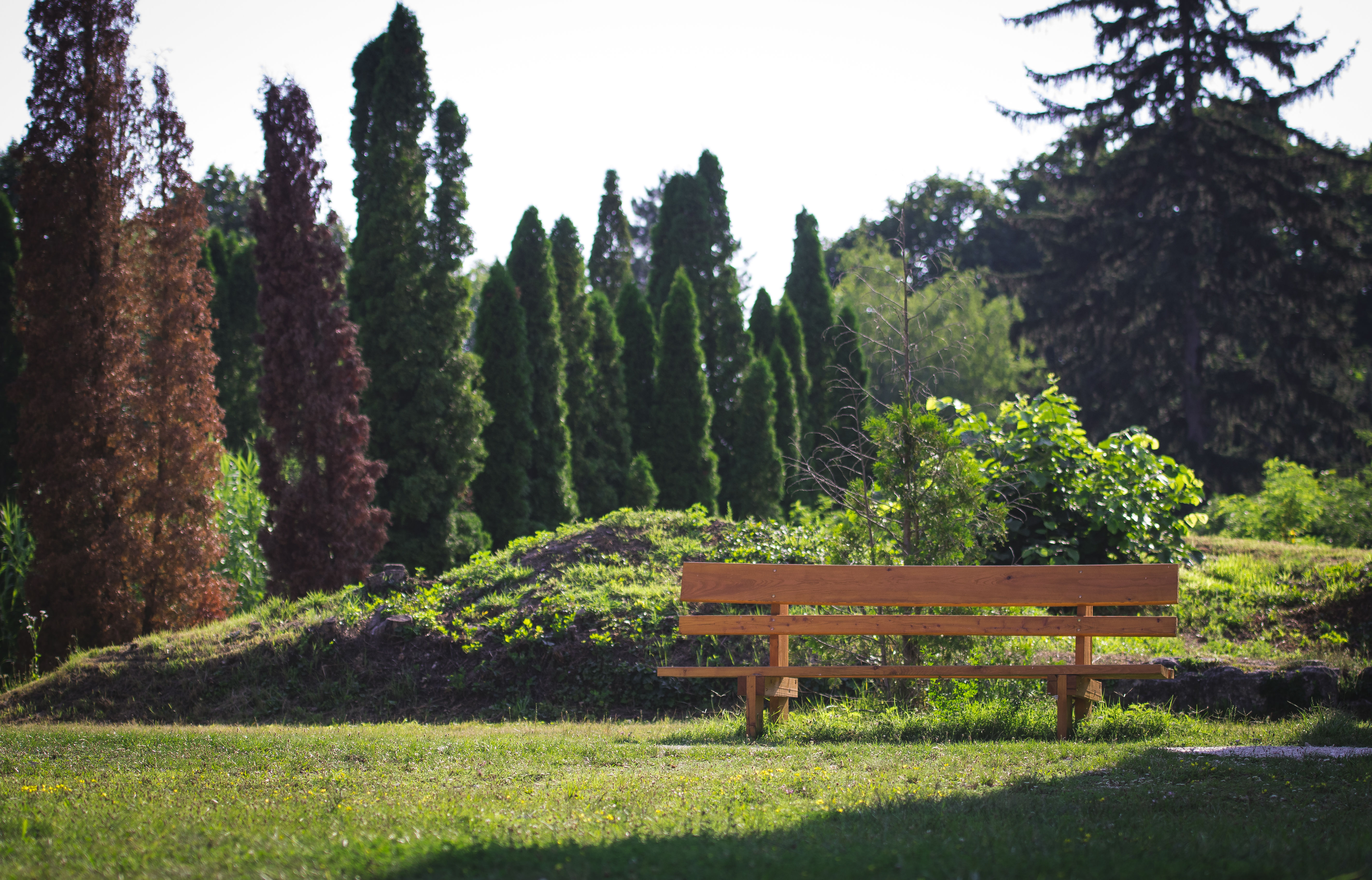 Alcsúti Arborétum