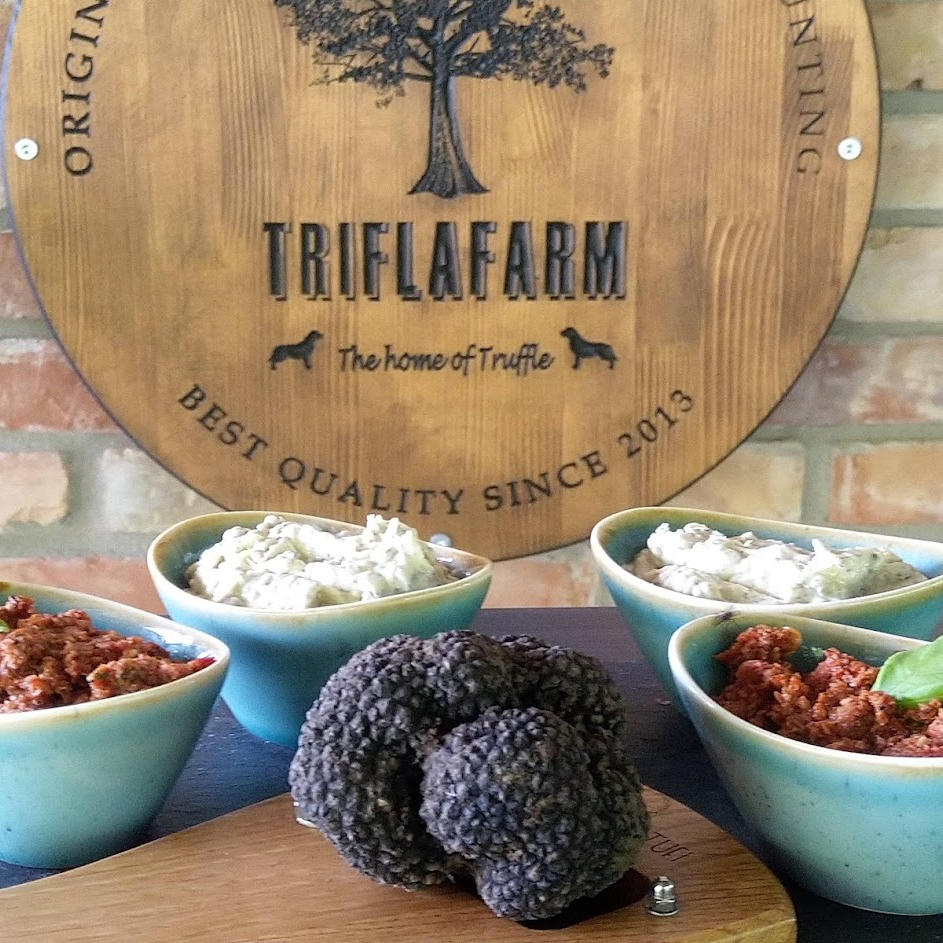 TriflaFarm, Szarvasgombakaland – vadászat és gasztrotúra