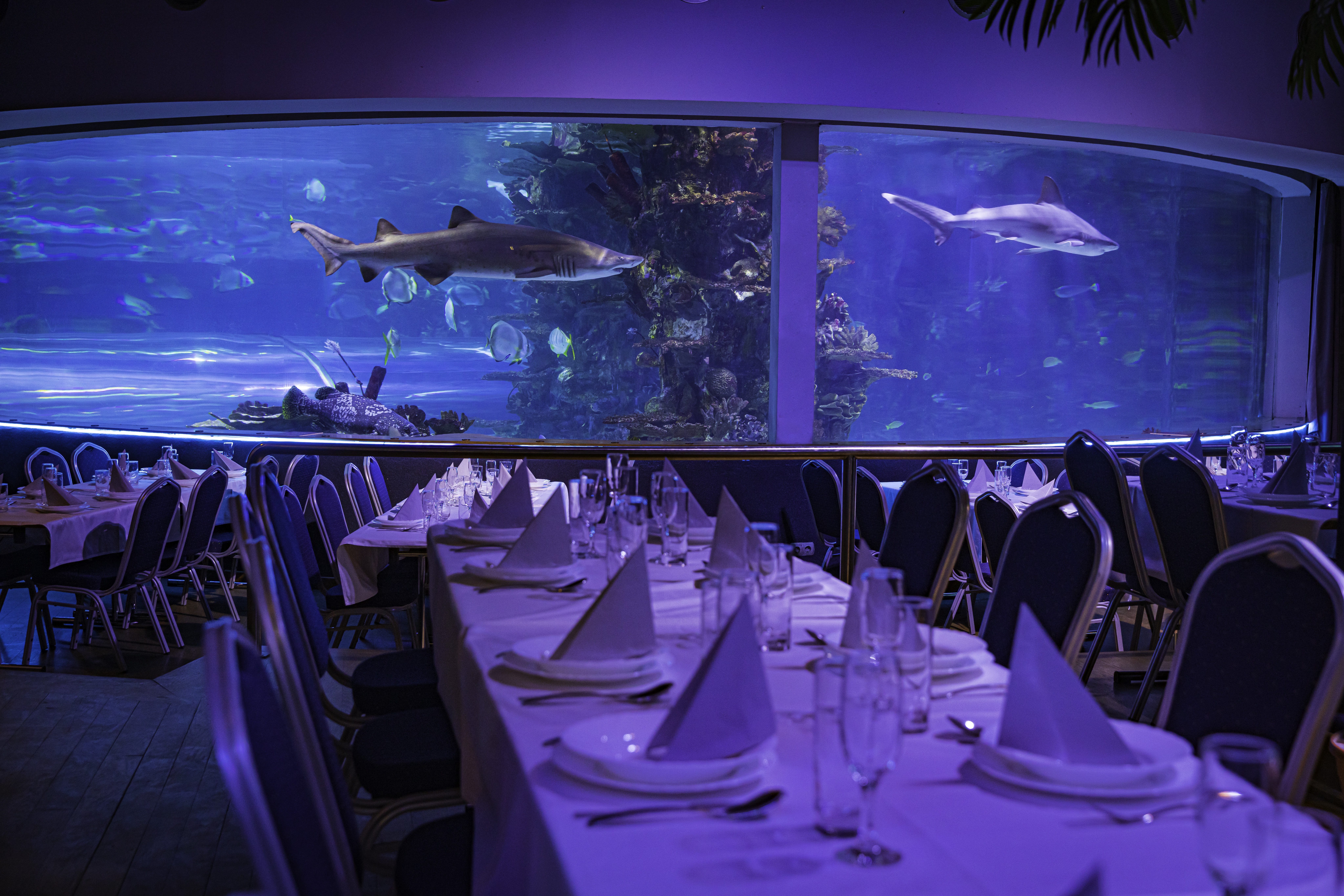 Tropicarium rendezvényhelyszín