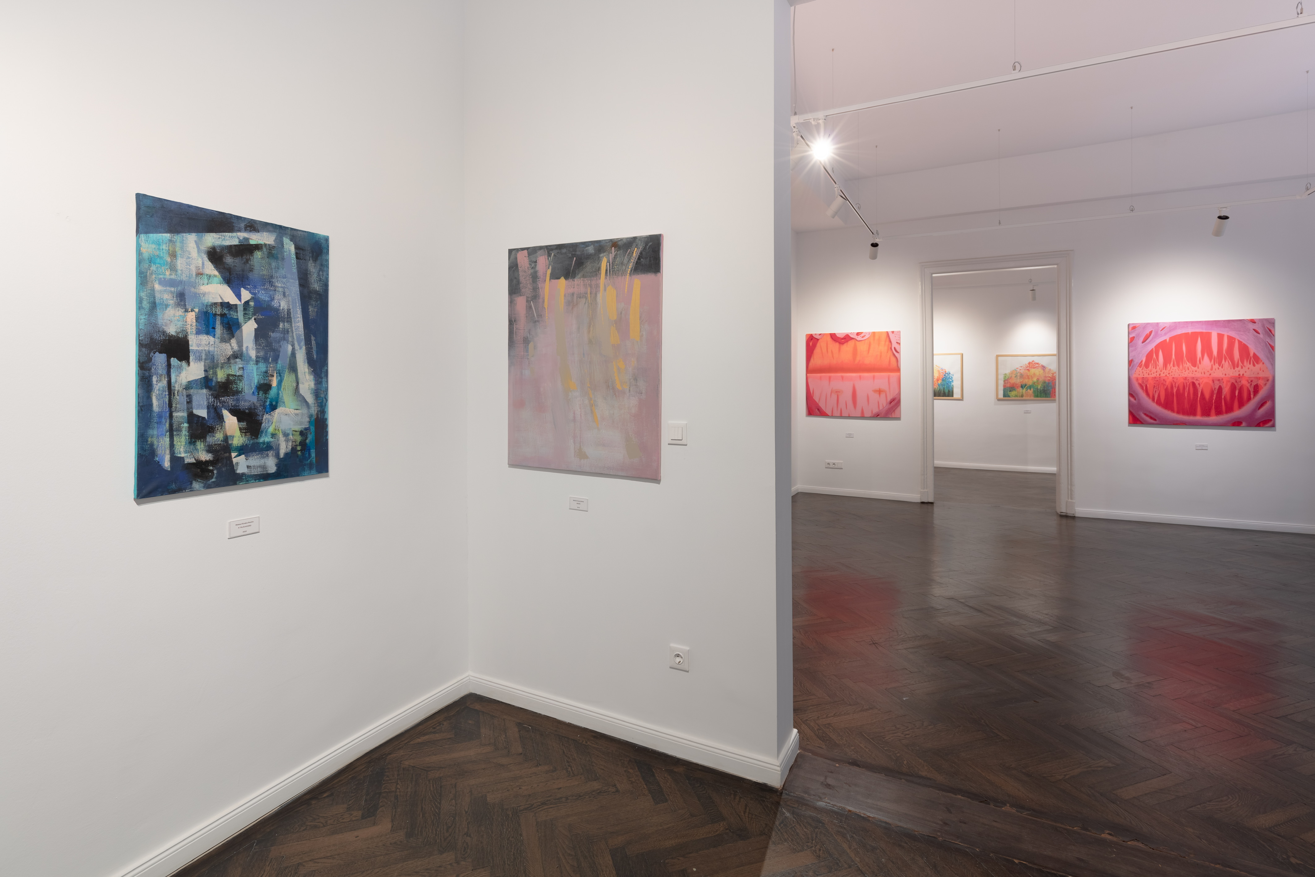 Tokaj Art Wine Galéria