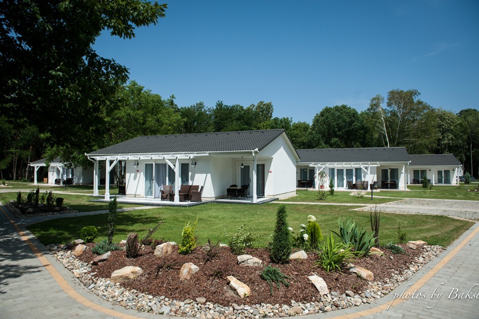 Liget Wellness és Konferencia Hotel