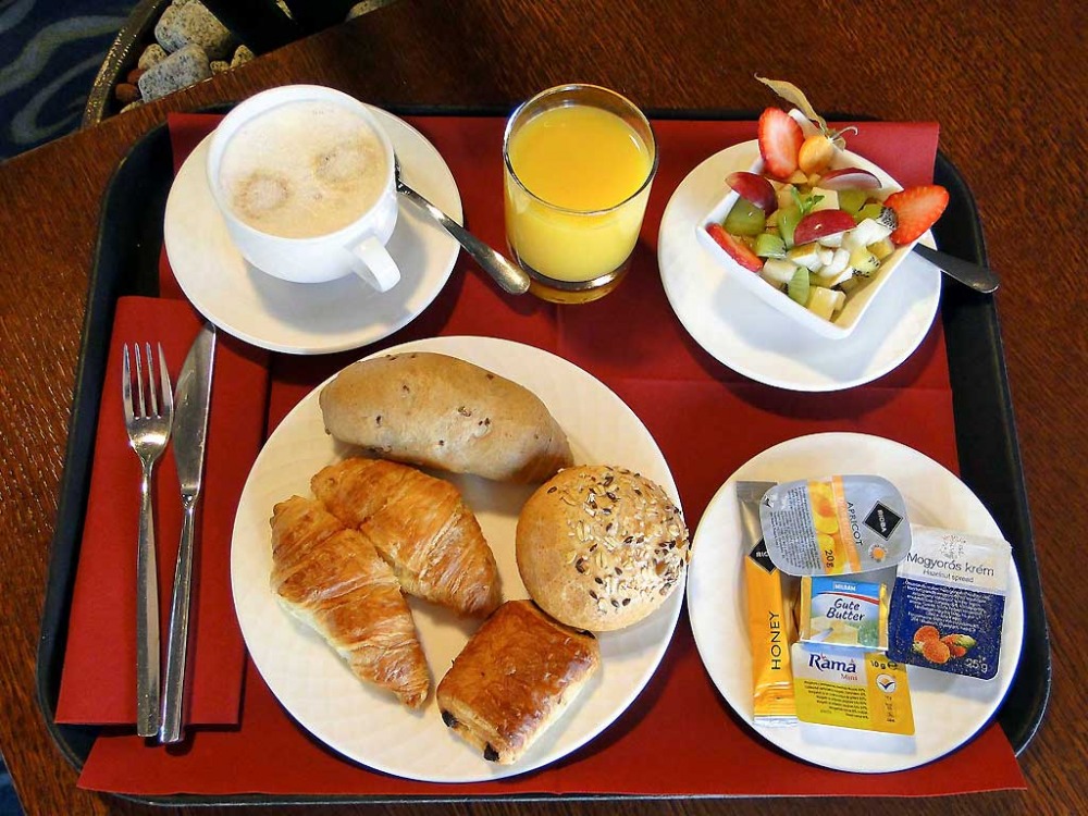 Novotel Budapest Danube Hotel