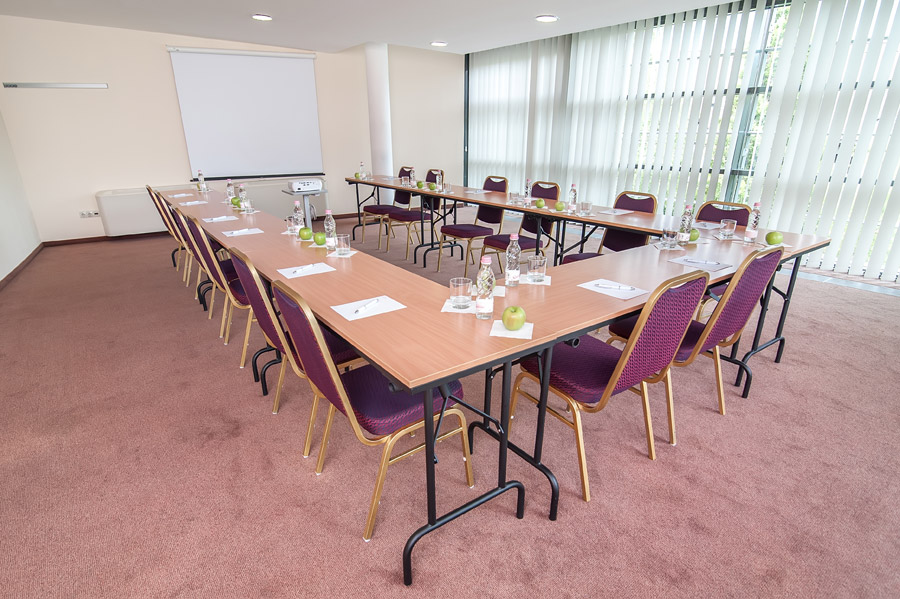 Rubin Wellness & Conference Hotel