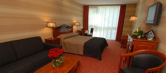 Hotel Divinus Superior