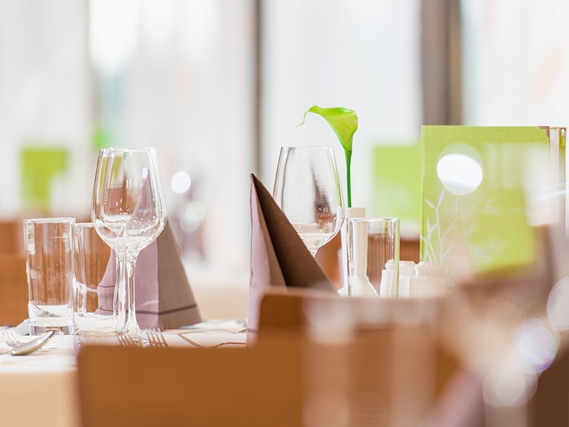 Vulkán Wellness Hotel & Camping