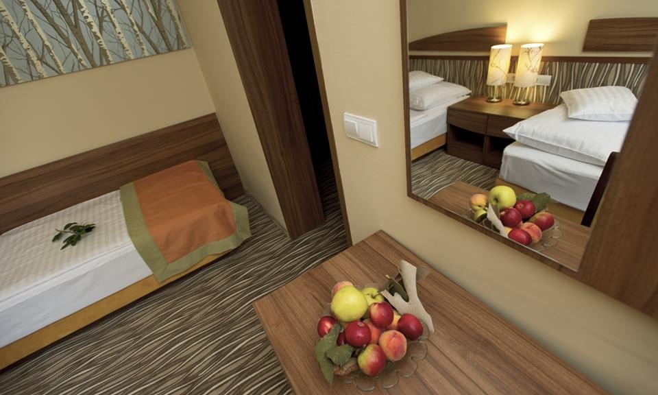 Park Hotel Gyula
