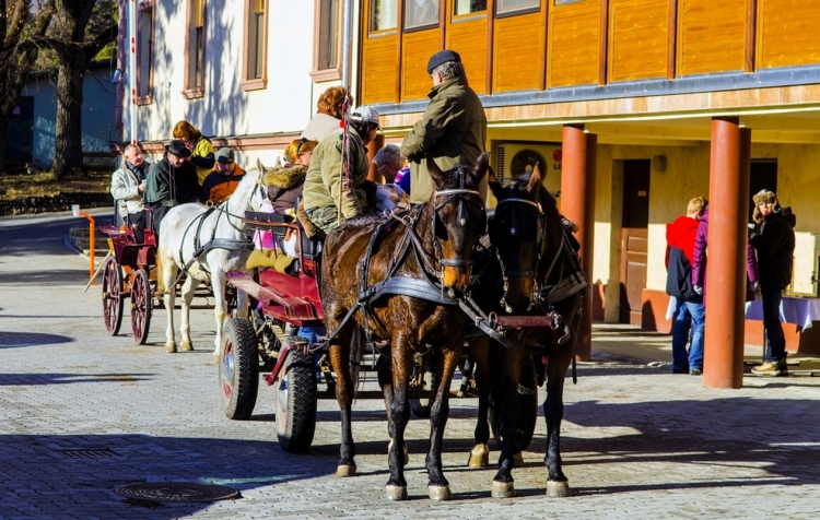 Erzsébet Park Hotel