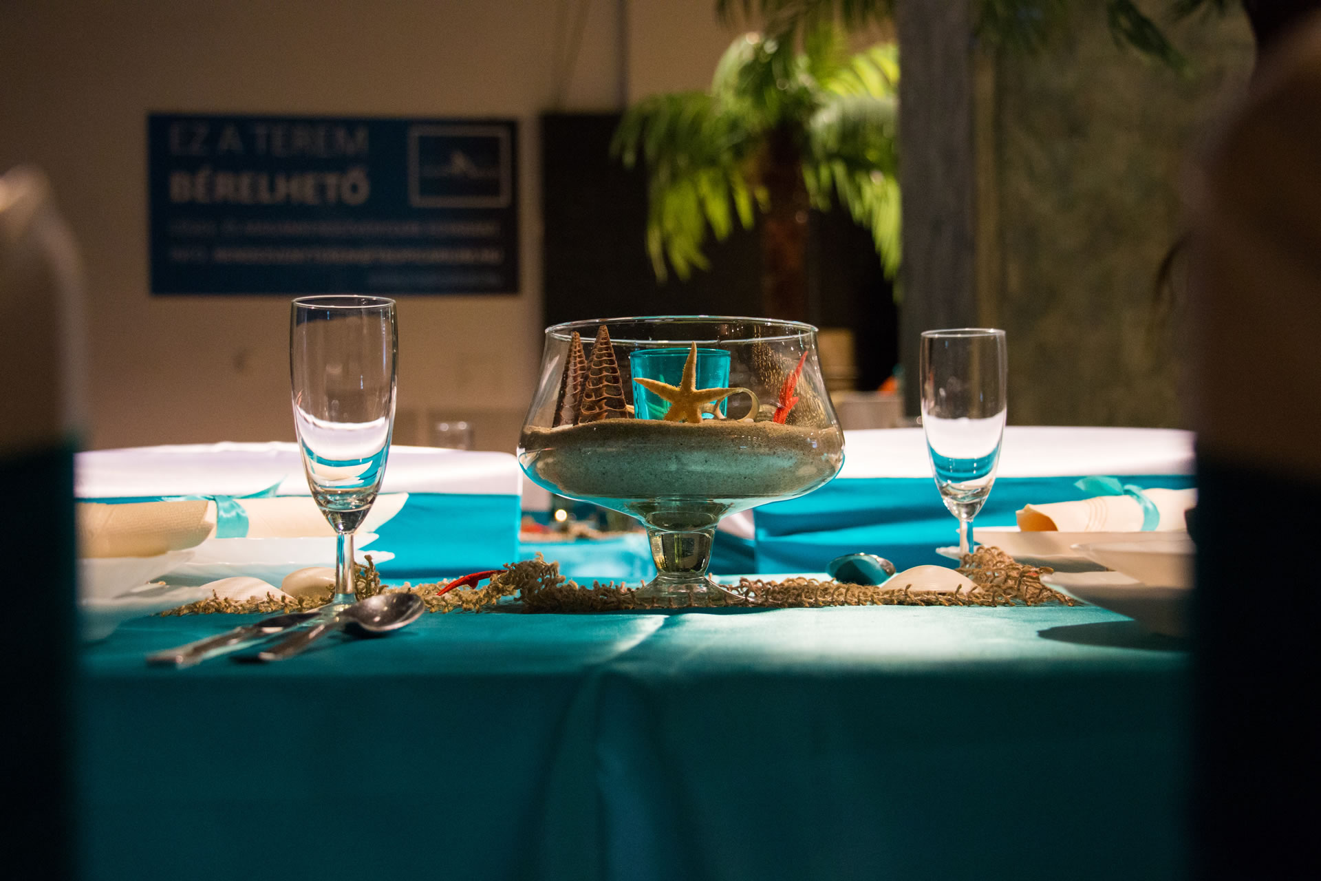 Tropicarium rendezvényhelyszín