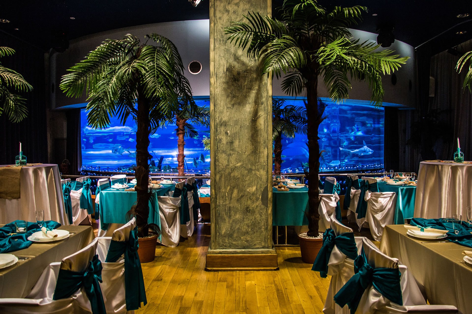 Tropicarium rendezvényhelyszín