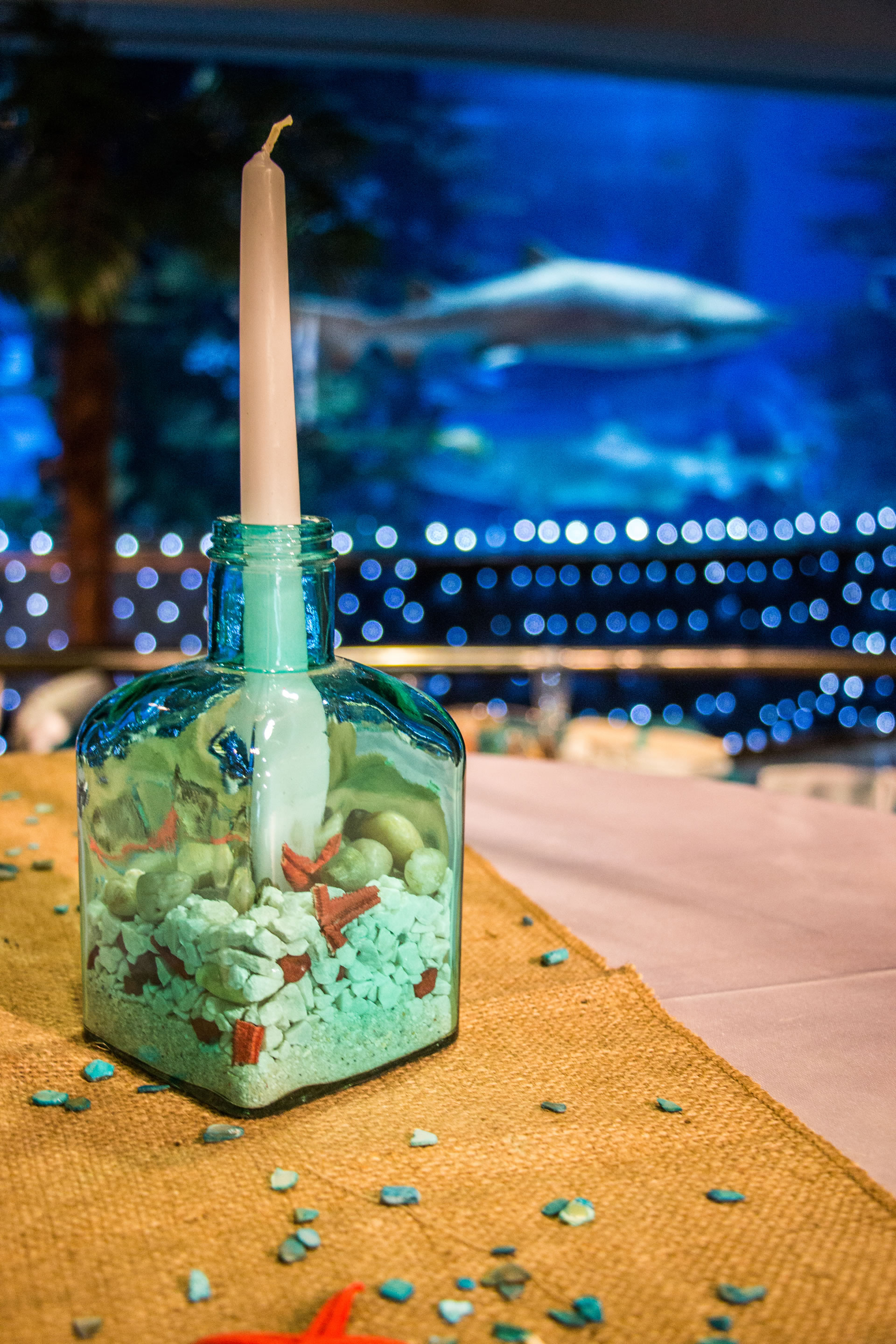 Tropicarium rendezvényhelyszín