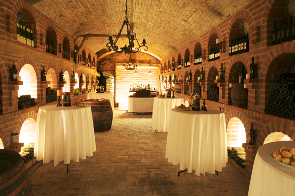 Domus Vinorum Borház és Rendezvényhelyszín