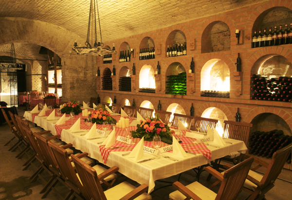 Domus Vinorum Borház és Rendezvényhelyszín