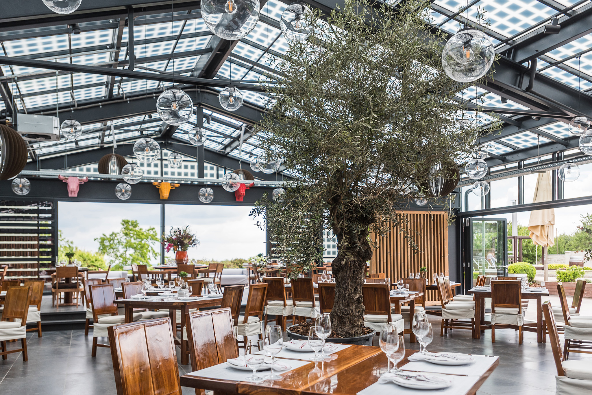 Haraszthy Pincészet