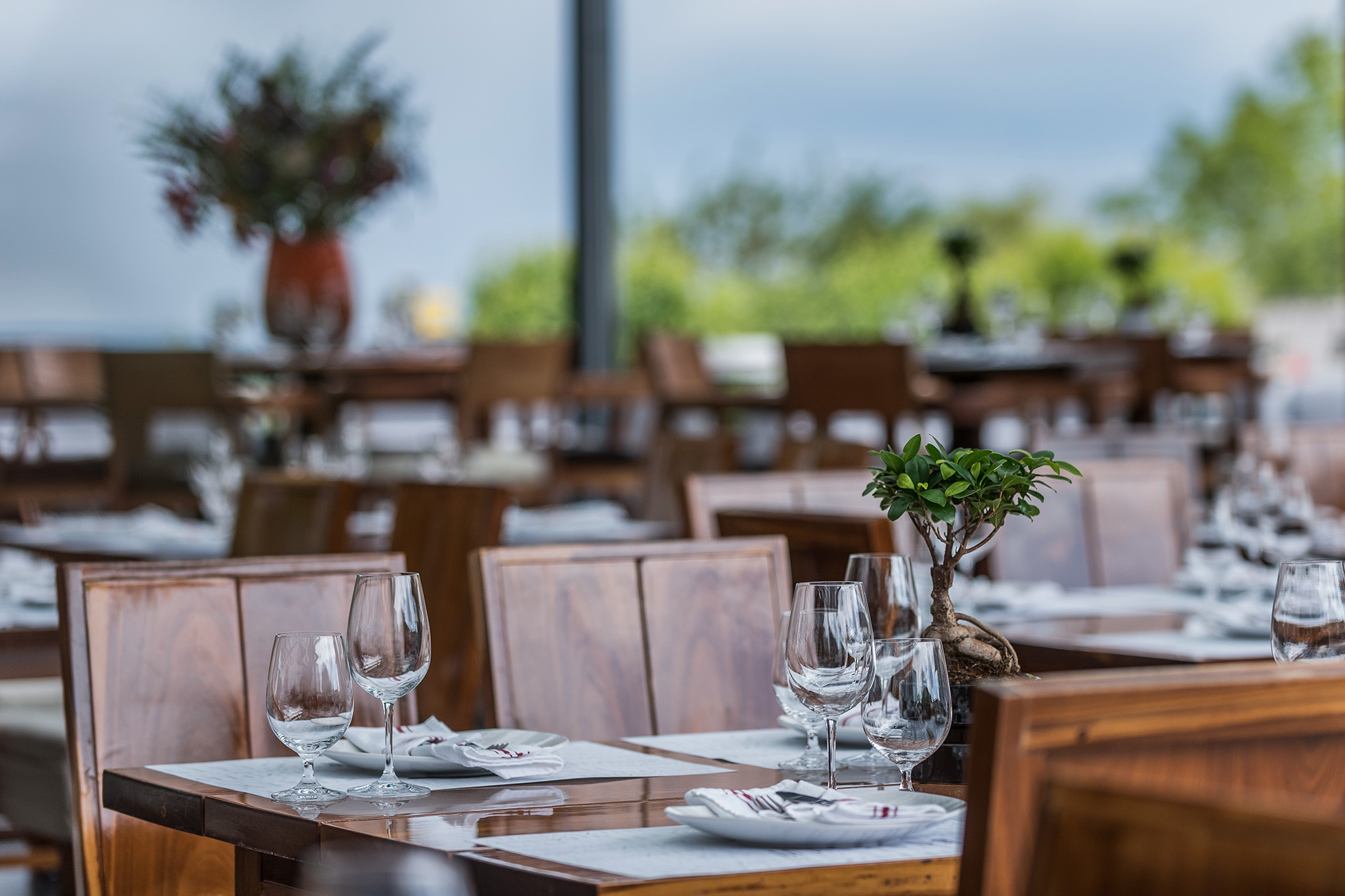 Haraszthy Pincészet