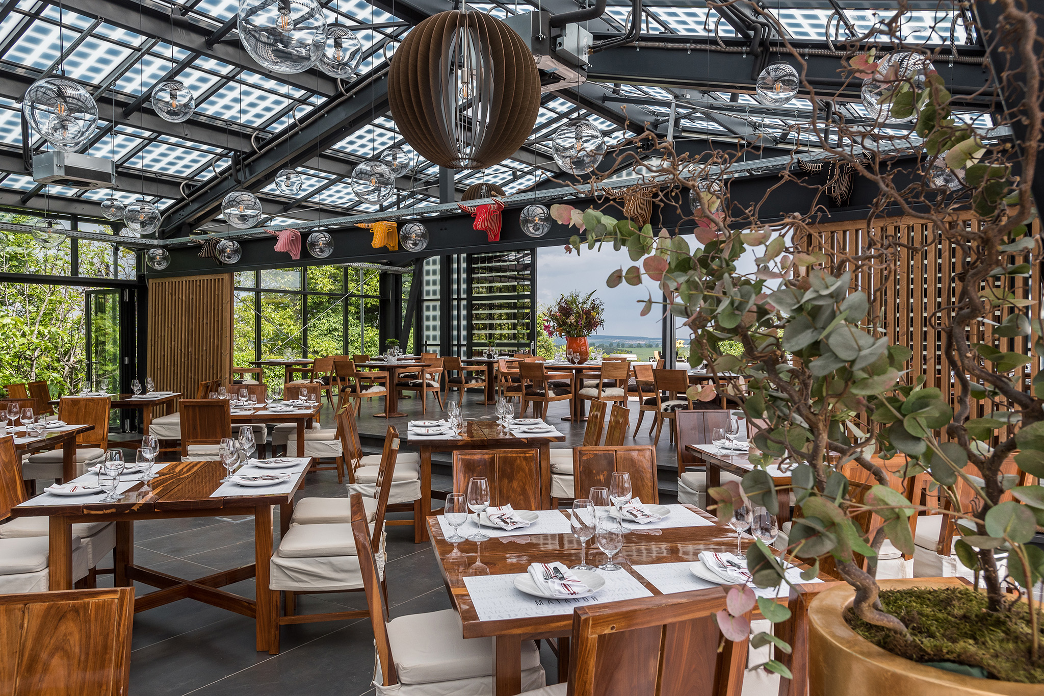 Haraszthy Pincészet