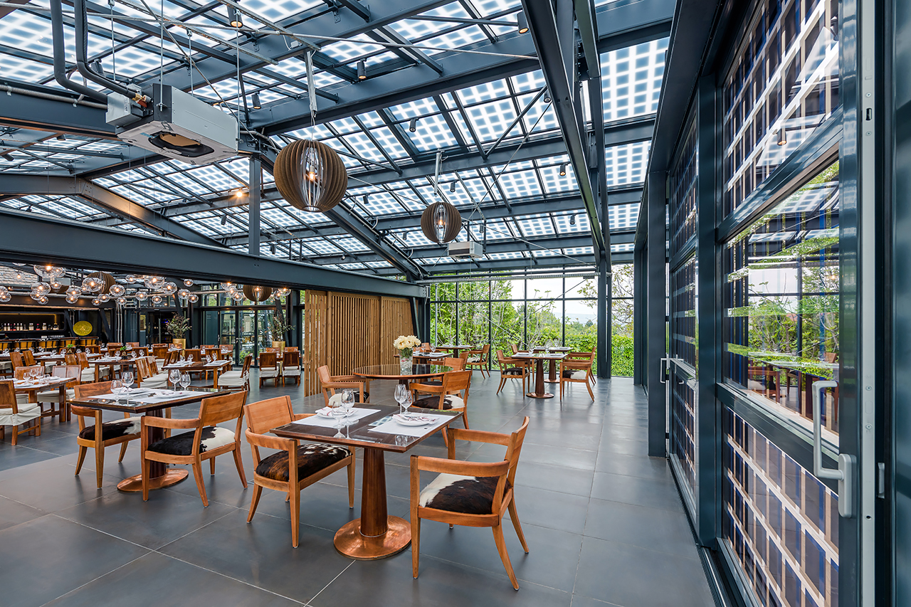 Haraszthy Pincészet