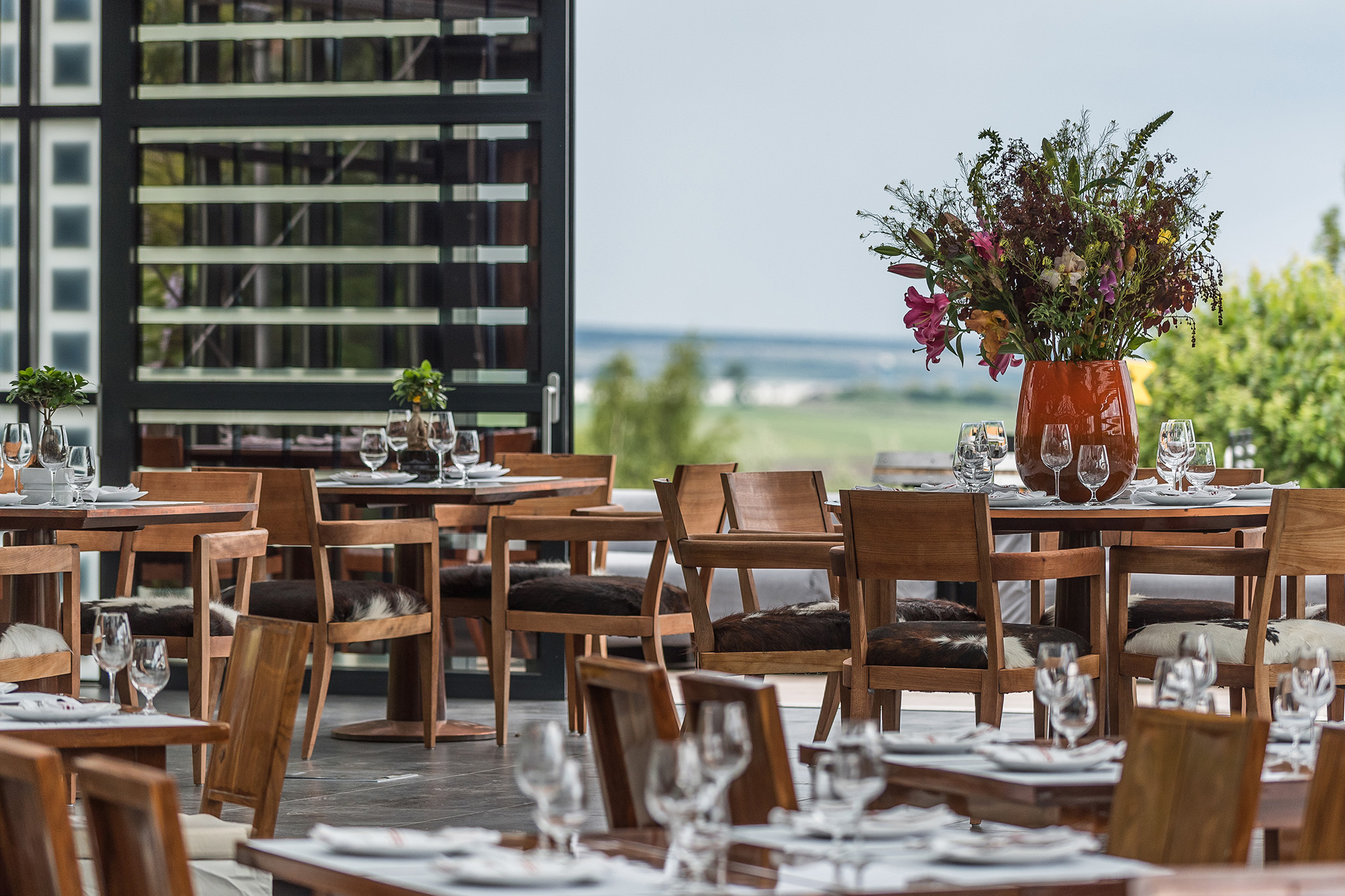 Haraszthy Pincészet