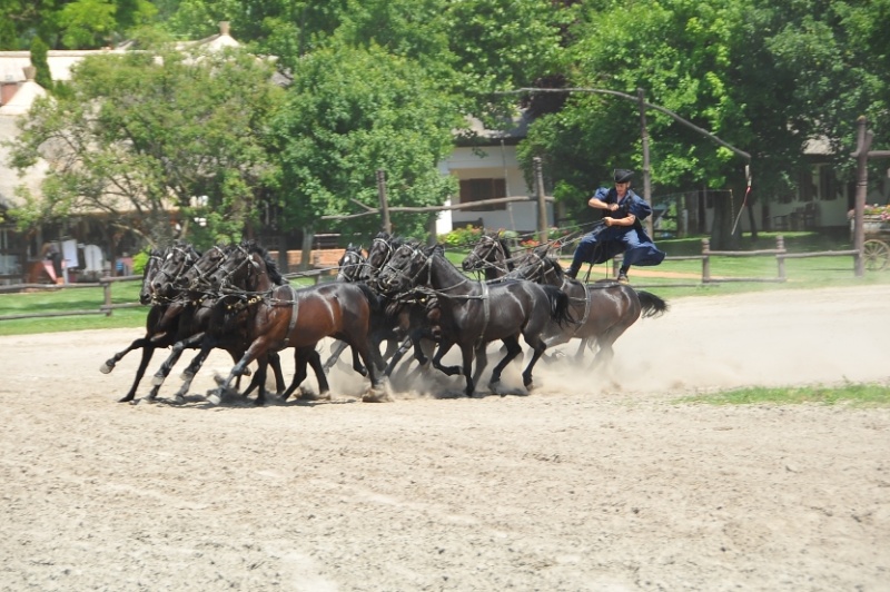 Varga Tanya Hotel, Konferencia és Szabadidőközpont
