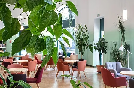 Egyszülős Központ