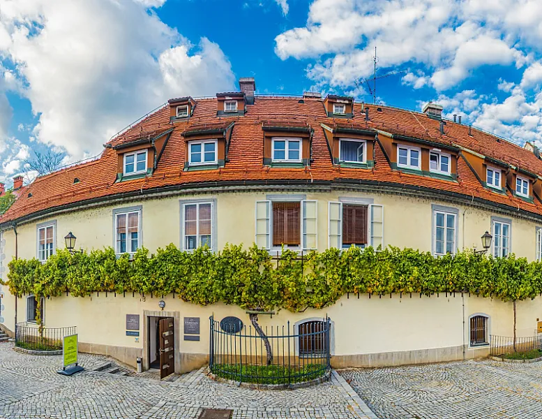 Old Vine House