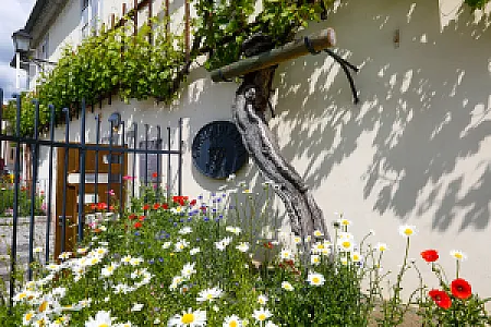 Old Vine House
