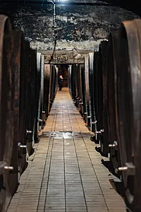 Vinag 1847 Wine Cellar