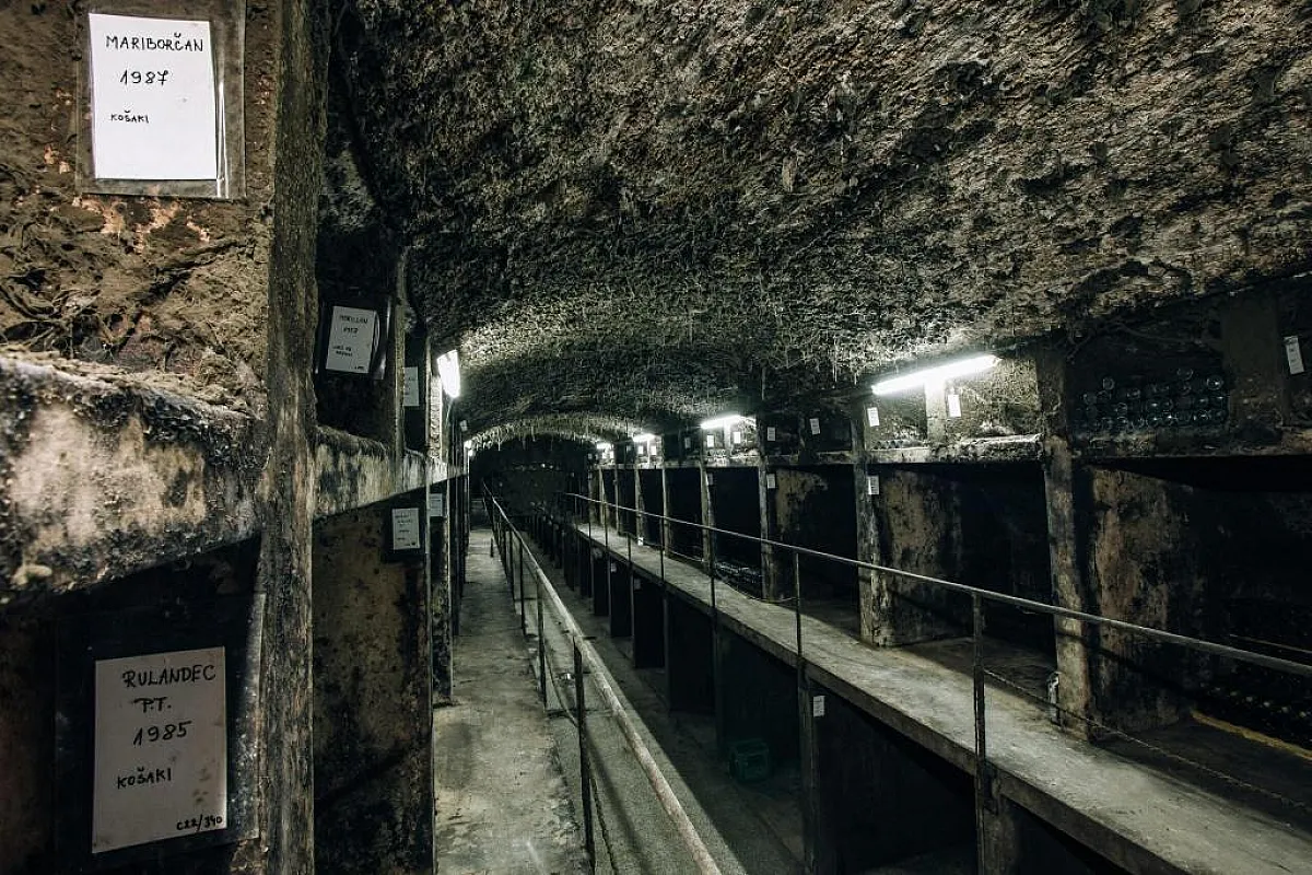 Vinag 1847 Wine Cellar