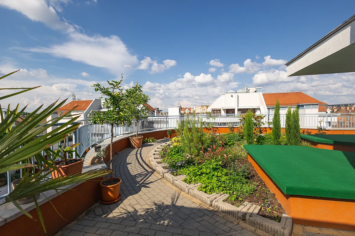 Rooftop City Residence