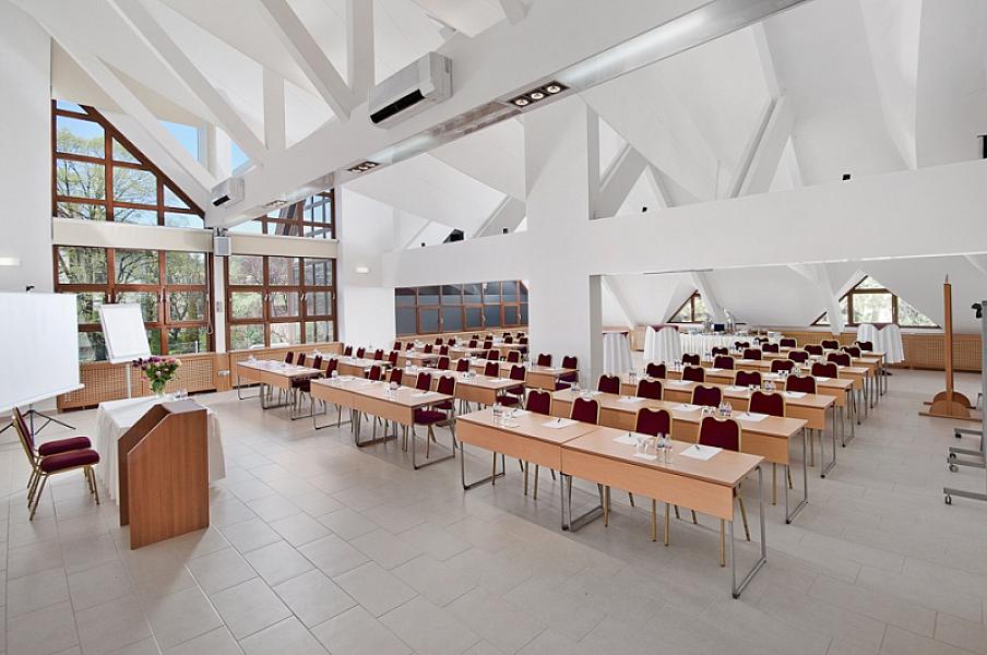 Rubin Wellness & Conference Hotel