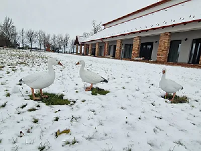 Százlibás Birtok