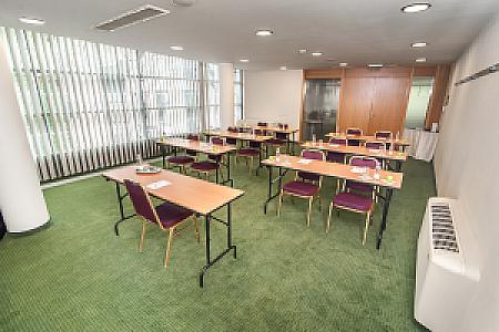 Rubin Wellness & Conference Hotel