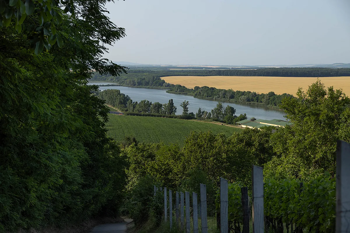 Palkonyha