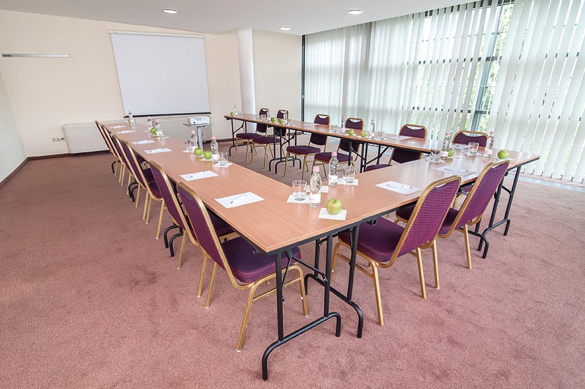 Rubin Wellness & Conference Hotel