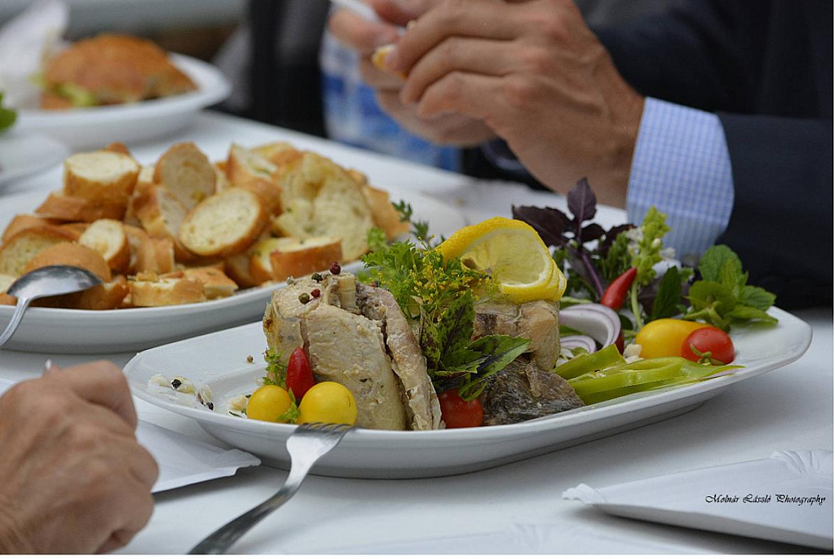 Zamárdi VSZ Üdülő