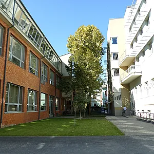 Moha Ház Budapest