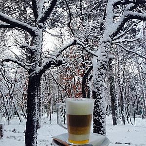 Hotel Therápia Pécs