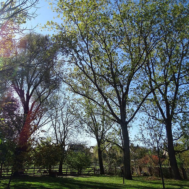 Szent Borbála Vendégház II. Érsekvadkert