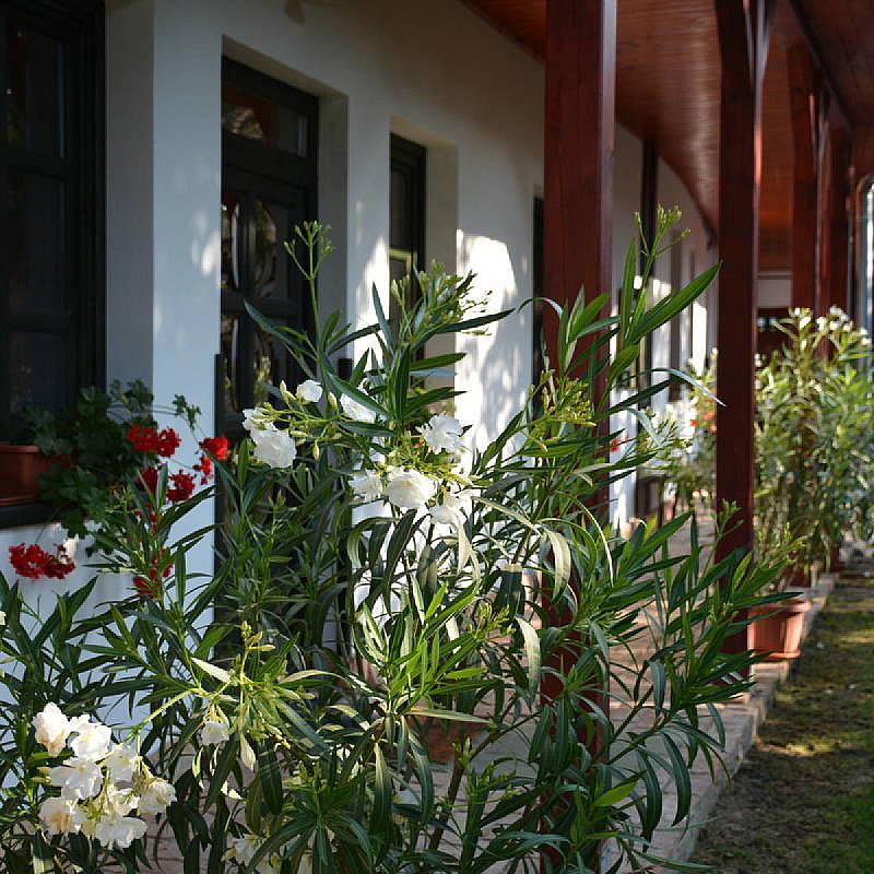 Szent Borbála Vendégház II. Érsekvadkert