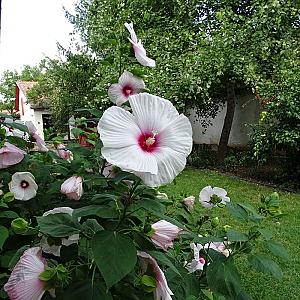 Szent Borbála Vendégház II. Érsekvadkert